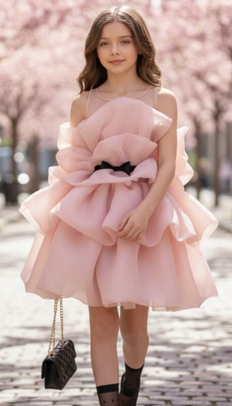 Blush Bloom Party Dress